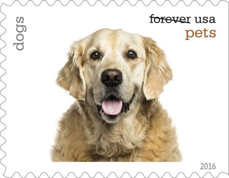 100 Dog Forever Stamps Pet Dog Unused Postage Stamps for Mailing
